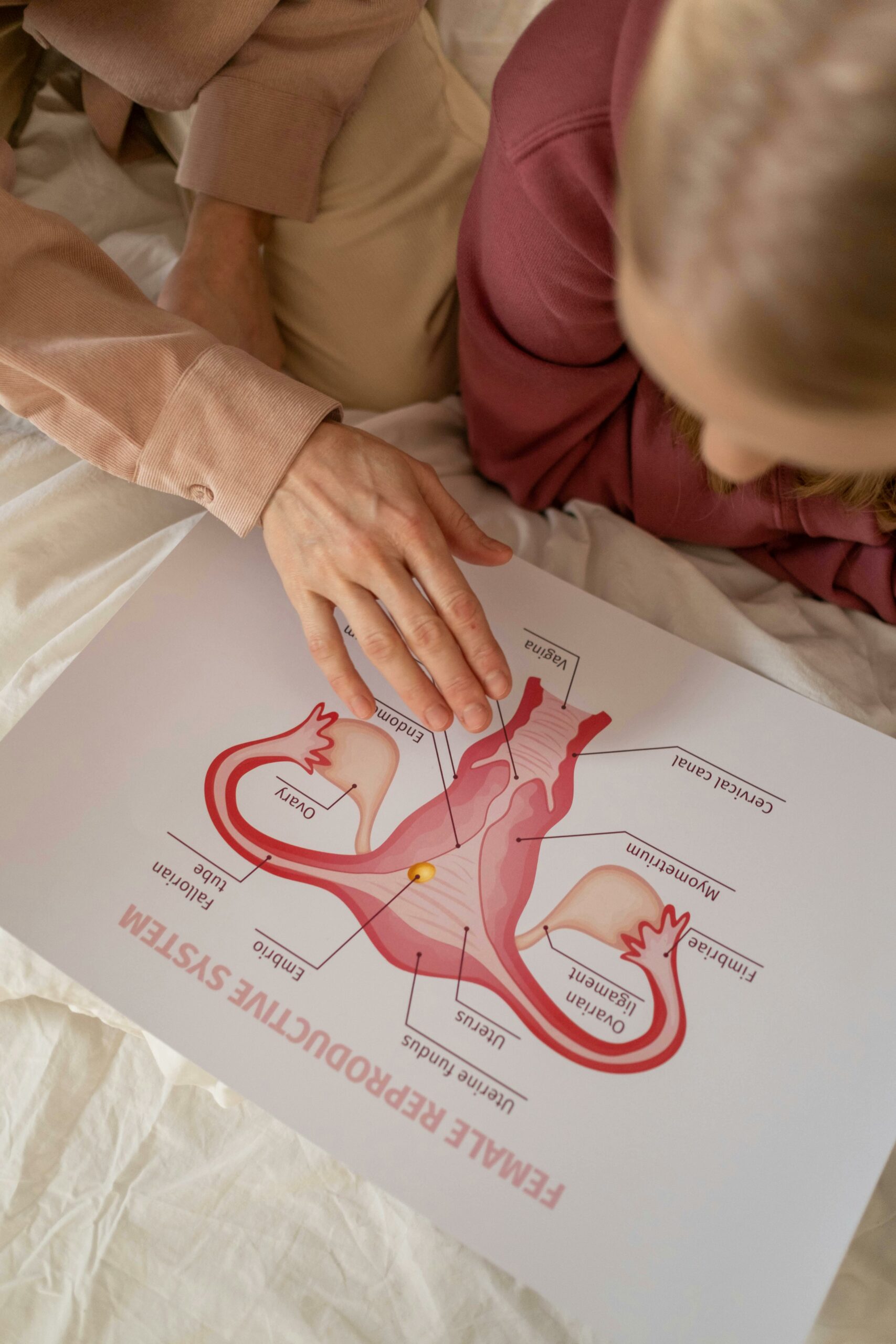 chirurgie gynécologique gynécologue bretéché